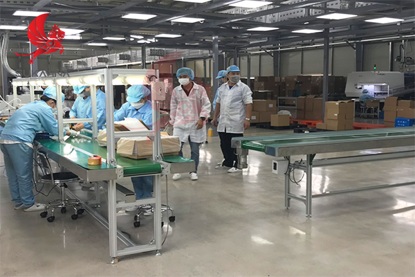 gia c&ocirc;ng băng tải ph&ograve;ng sạch 